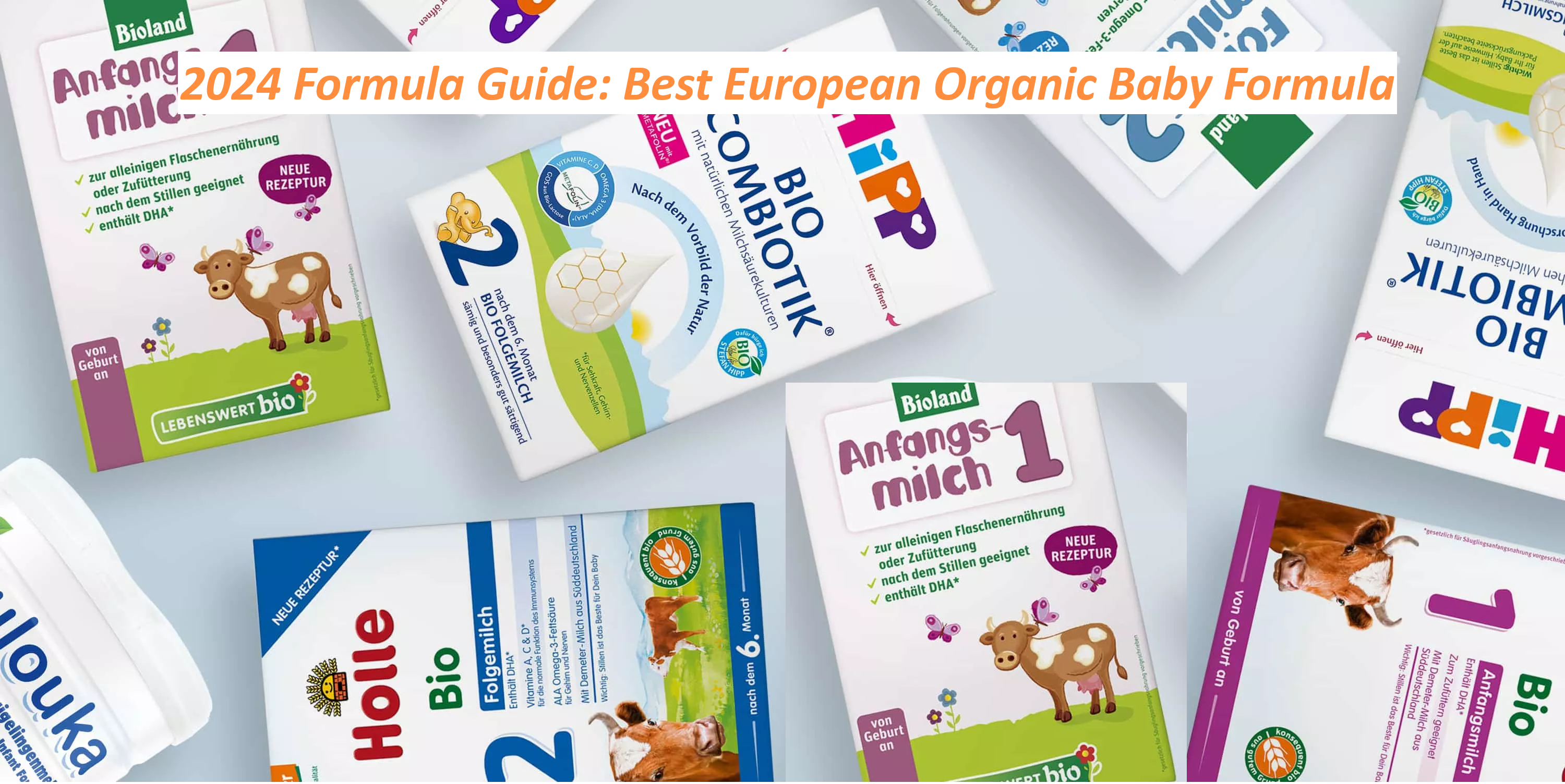 Best organic best sale baby formula