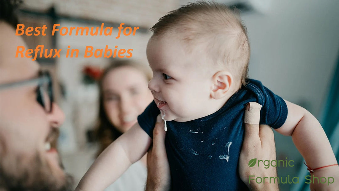 Best anti-reflux formula. Organic Formula Shop