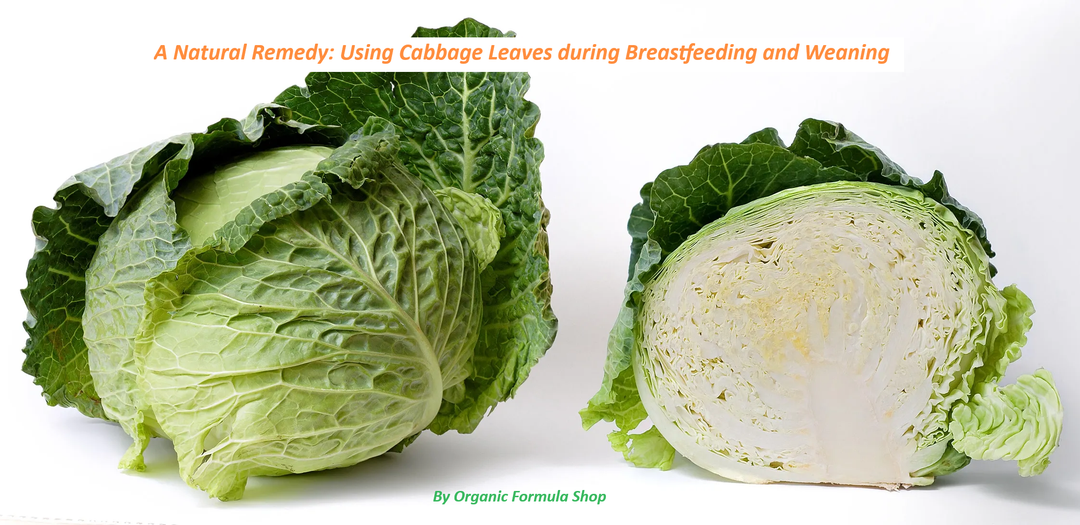 Cabbage Leaves during Breastfeeding and Weaning Organic Formula Shop2