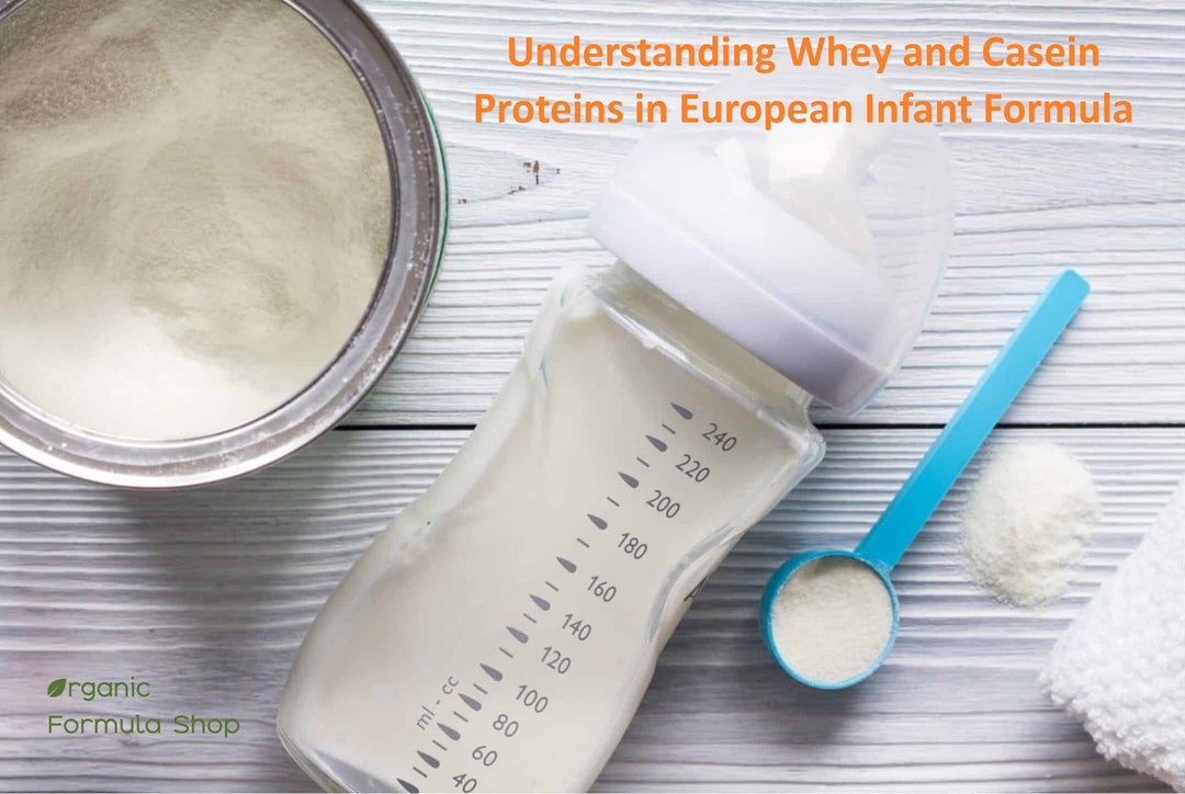 Whey and Casein Proteins in European Infant Formula