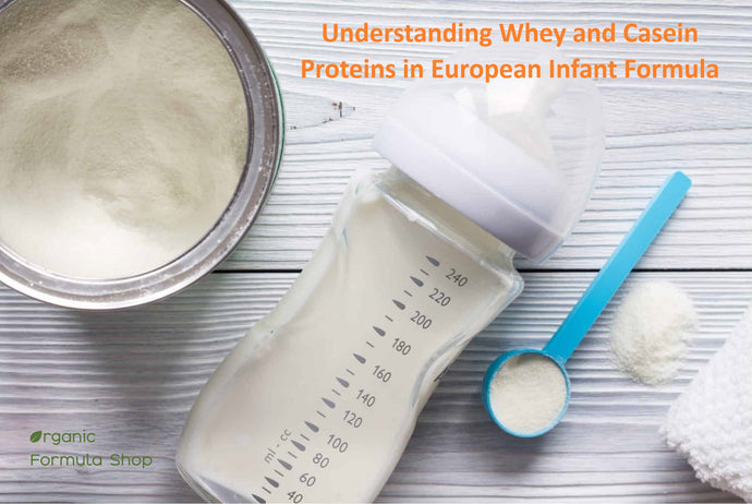 Understanding Whey and Casein Proteins in European Infant Formula