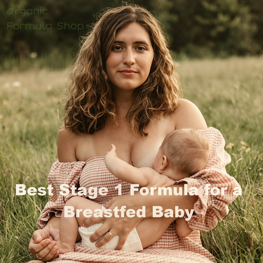 Best Stage 1 Formula for a Breastfed Baby