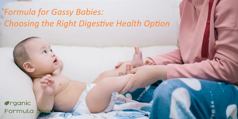 Formula for Gassy Babies: Choosing the Right Digestive Health Option