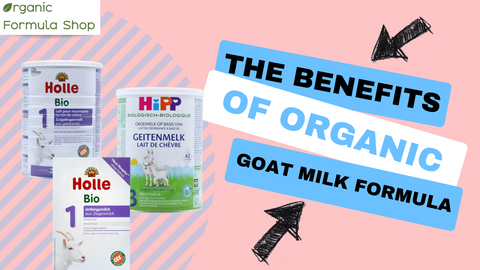 The Benefits of Organic Goat Milk Formula