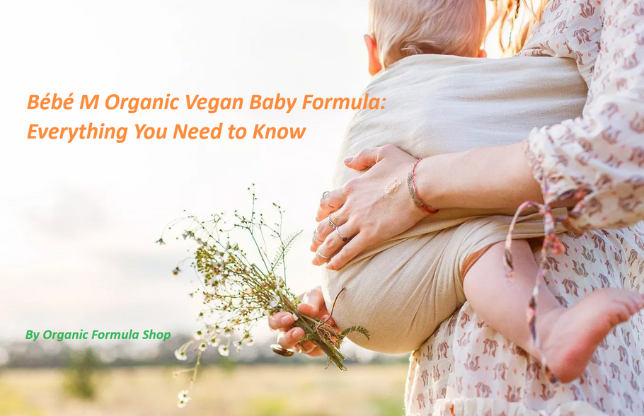 Bébé M Organic Vegan Baby Formula: Everything You Need to Know