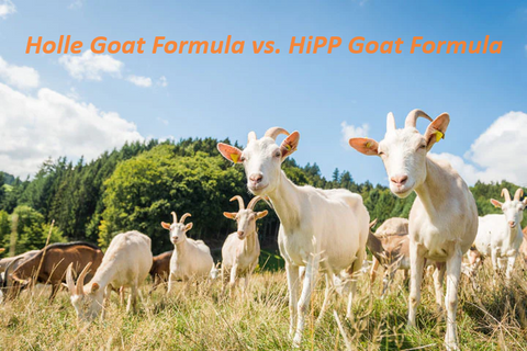 Holle Goat Formula vs. HiPP Goat Formula