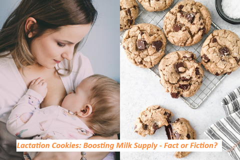 Lactation Cookies: Boosting Milk Supply - Fact or Fiction?