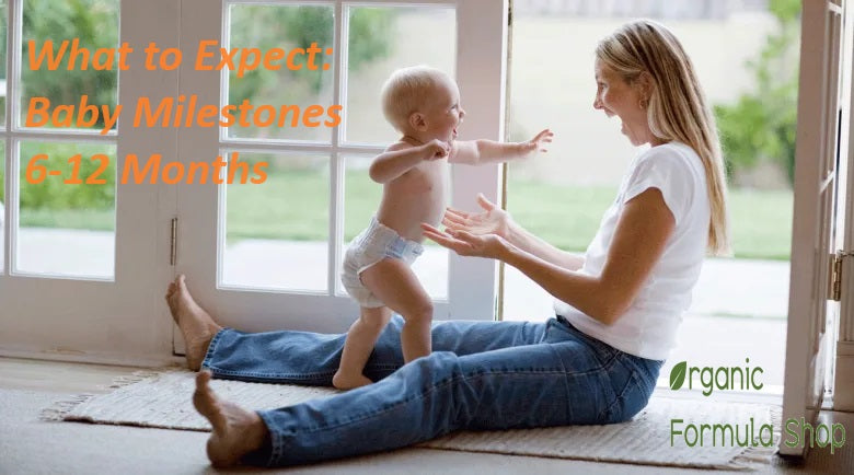 What to Expect: Baby Milestones 6-12 Months