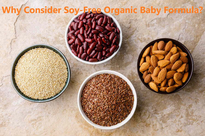 Why Consider Soy-Free Organic Baby Formula?