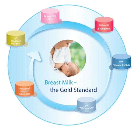 Diagram of breast milk components with a baby feeding, labeled 'Breast Milk - the Gold Standard'.